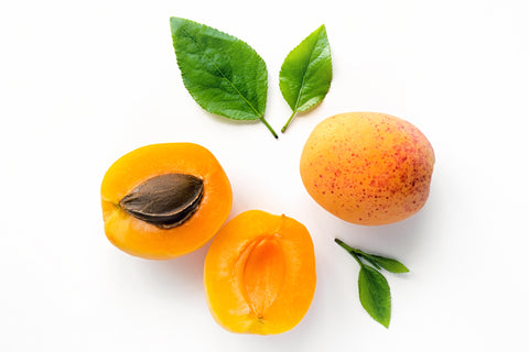 Apricot Stem Cell